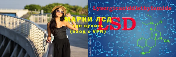 тгк Шали