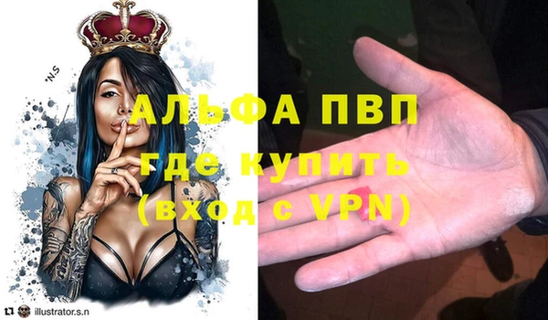 тгк Шали
