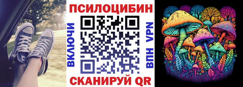Галлюциногенные грибы мицелий блэк спрут онион Белгород