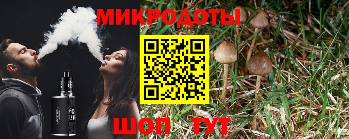 Галлюциногенные грибы ЛСД Белгород