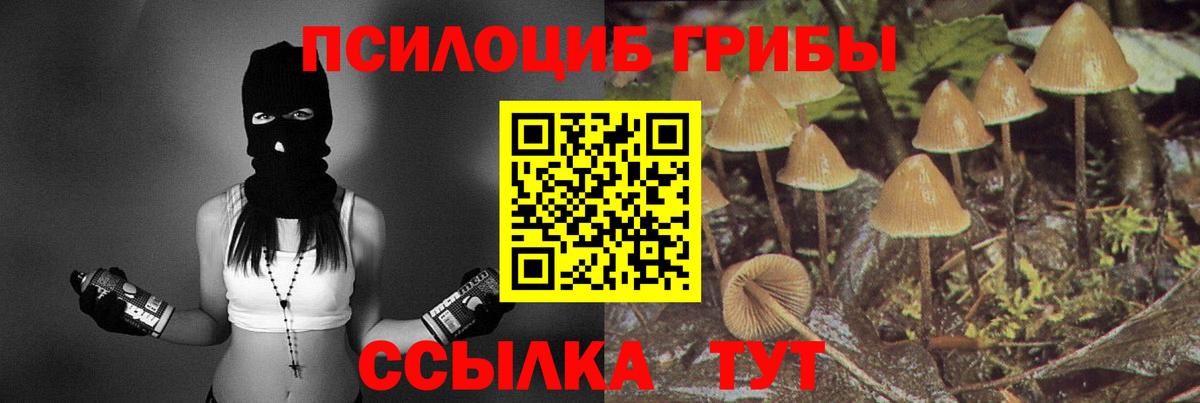 Белгород  Галлюциногенные грибы мицелий  Вход с VPN 